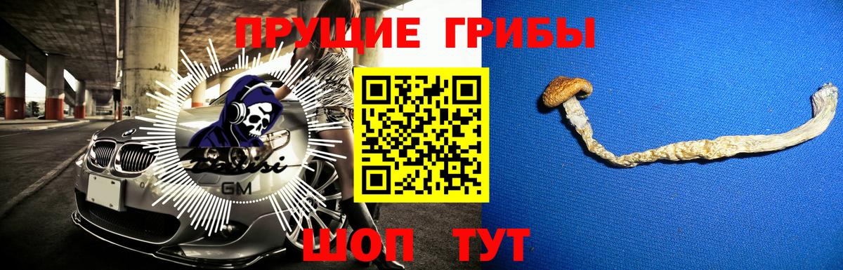 Псилоцибиновые грибы MAGIC MUSHROOMS Норильск