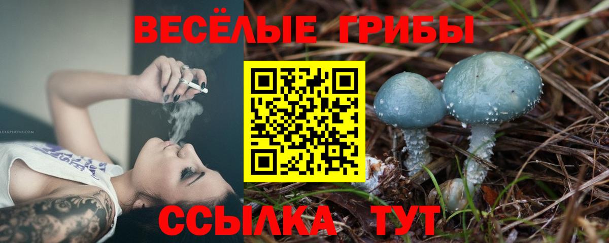 Норильск  Галлюциногенные грибы GOLDEN TEACHER  Вход с VPN 